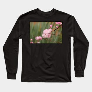 Flowering Pink Almond Long Sleeve T-Shirt